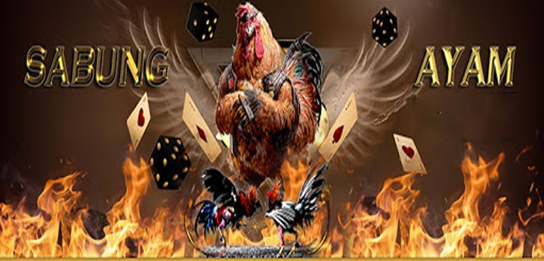 Fair Play Sabung Ayam Online