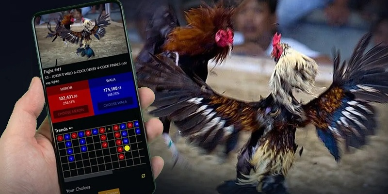 Sabung Ayam Online: Panduan Bermain dan Tips Menang